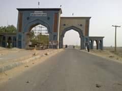 Dadu