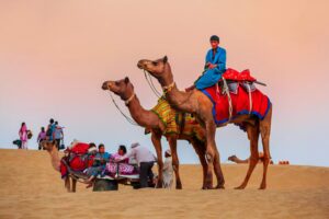 camel-safari-sindh