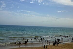 view-of-hawks-bay-beach