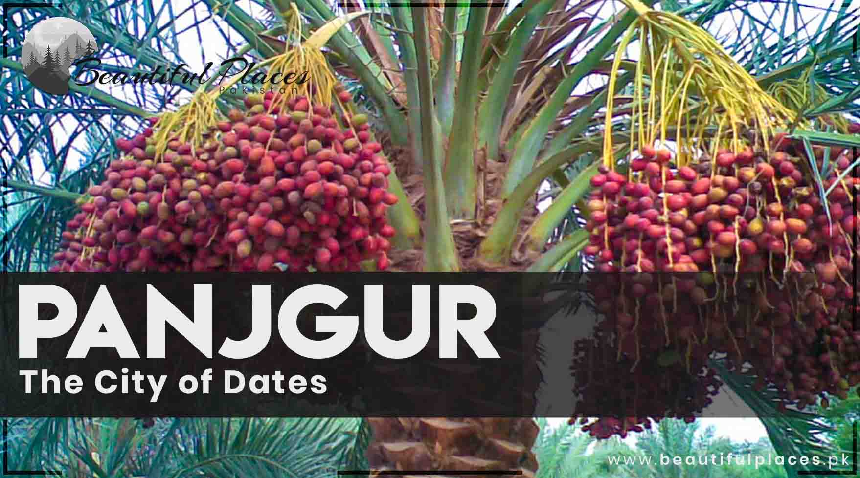 All About Panjgur District - Balochistan | The City of Dates