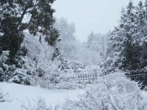 Ziarat-Balochistan-Pakistan.