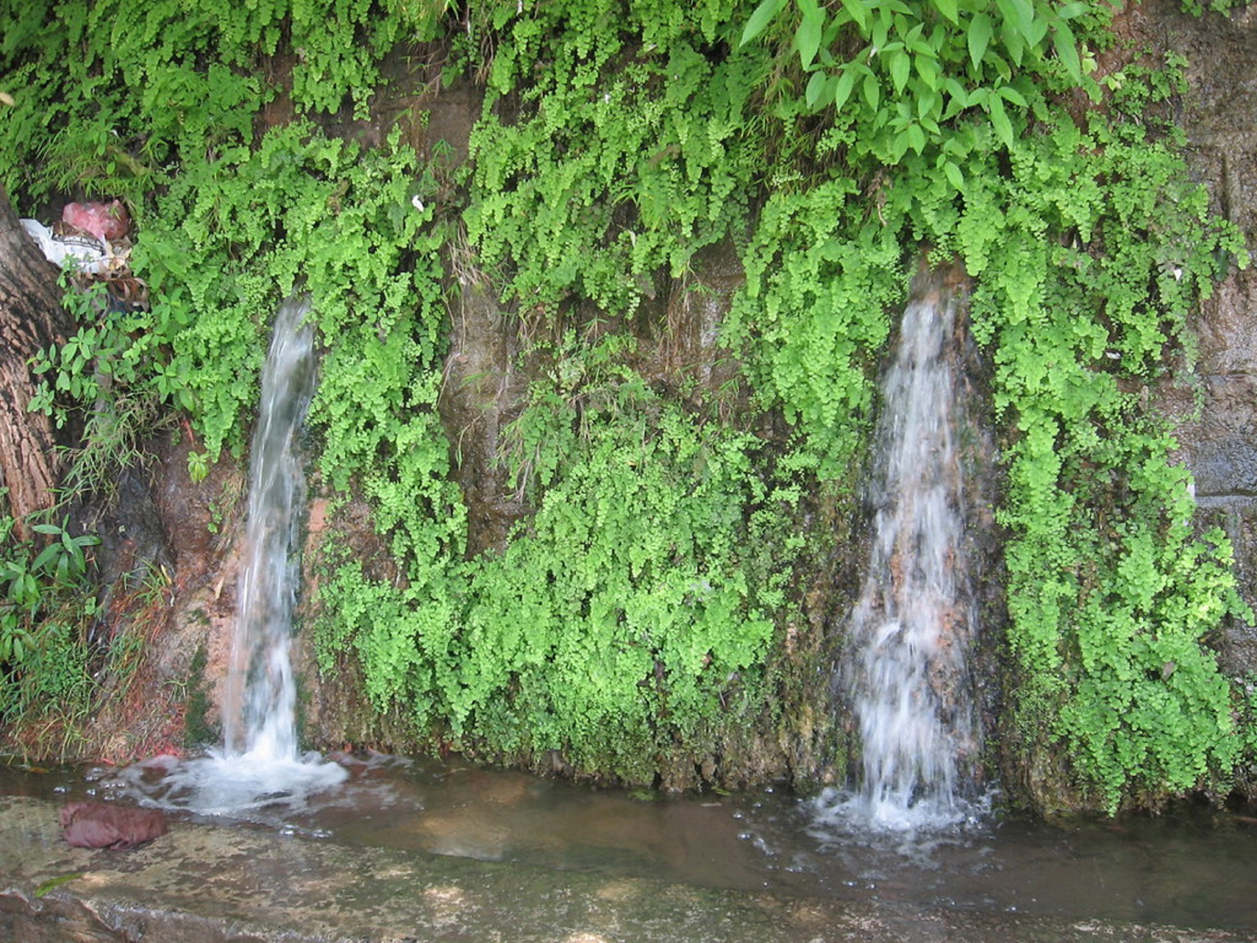  charrpani-Murree
