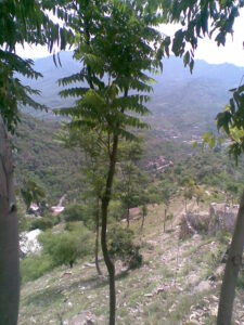  Goi-Azad-Kashmir