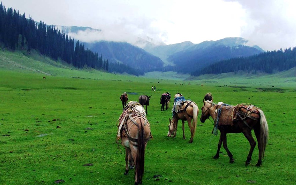 Jhelum-Valley-Azad-Kashmir