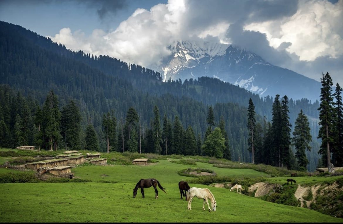 Load more ATTACHMENT DETAILS Danna-Meadows-kaghan-valley-kpk.