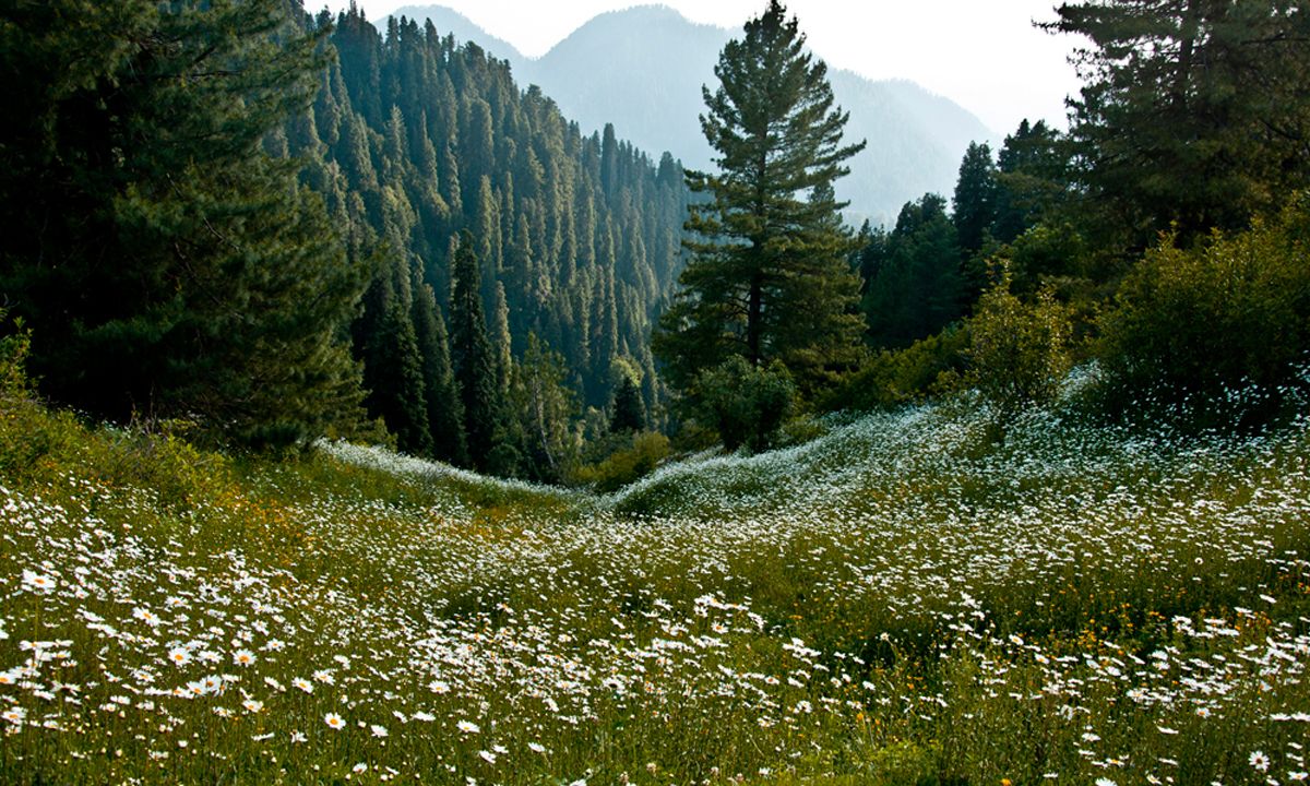  Galyat-abbottabad-kpk