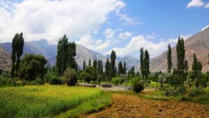  Ishkoman_Valley_in_summer-