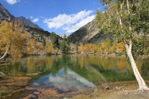 Naltar_lake_in_Autumn_Gilgit