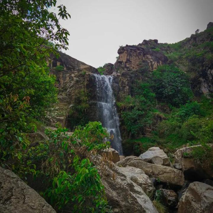  Osakai-Fall-KPK-Lower-Dir.j