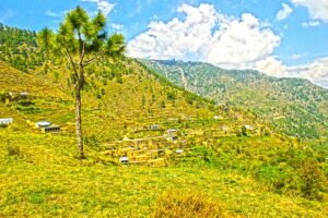 Swabi-KPK