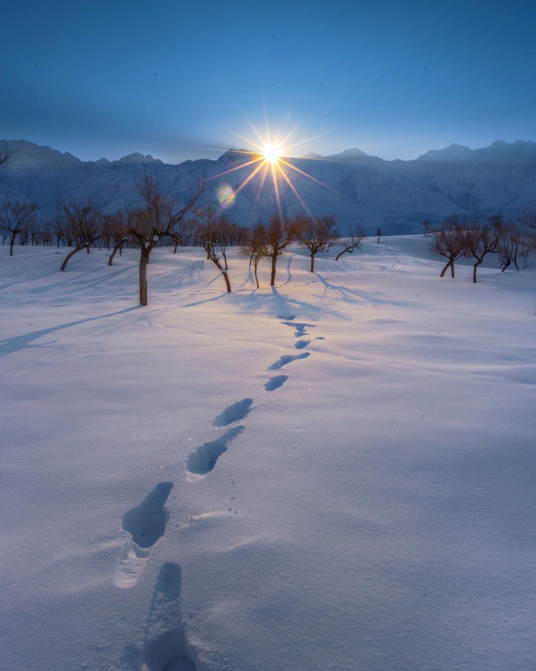 Load more ATTACHMENT DETAILS cold-desert-gilgit-baltistan