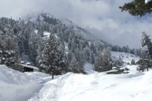  Galyat-abbottabad-kpk
