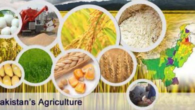 Pakistan an Agricultural Country with Facts