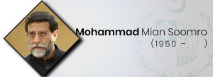 Mohammad Mian Soomro (Born 1950)(Caretaker)