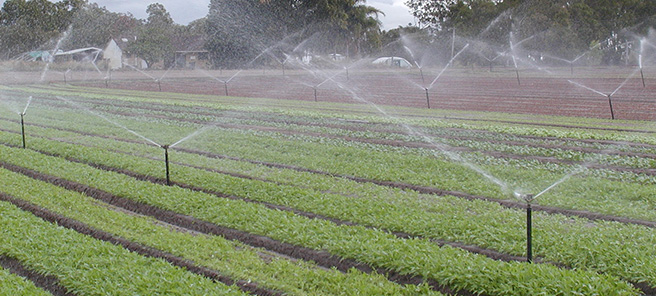 Strengthening Irrigation System