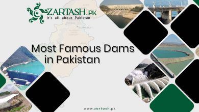 Most Famous Dams in Pakistan